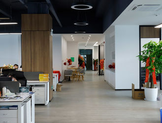 Shenzhen LuoX Electric Co., Ltd. 공장 생산 라인